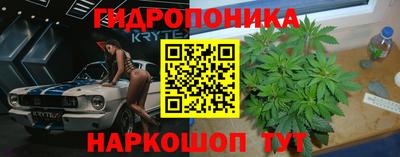 ALPHA PVP Краснознаменск