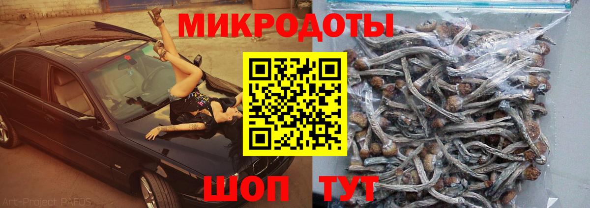 Галлюциногенные грибы мицелий Кудрово