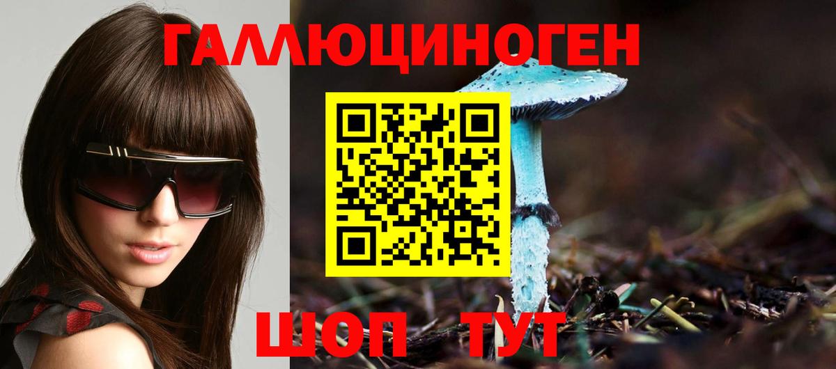 Кудрово  Псилоцибиновые грибы мицелий  Вход с VPN 